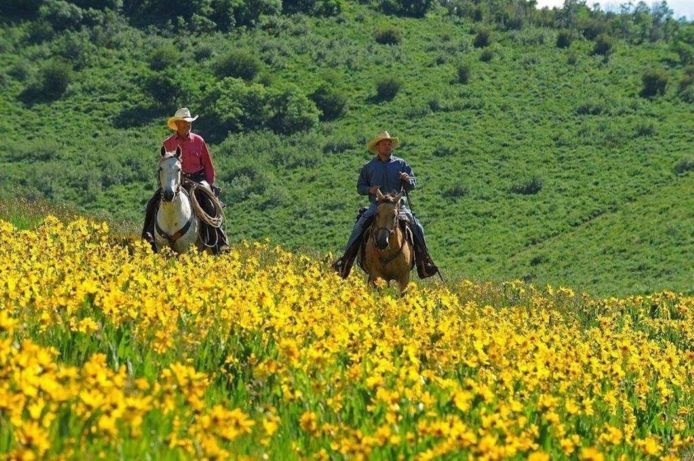 Western Lodge Стиймбоут Спрингс Екстериор снимка